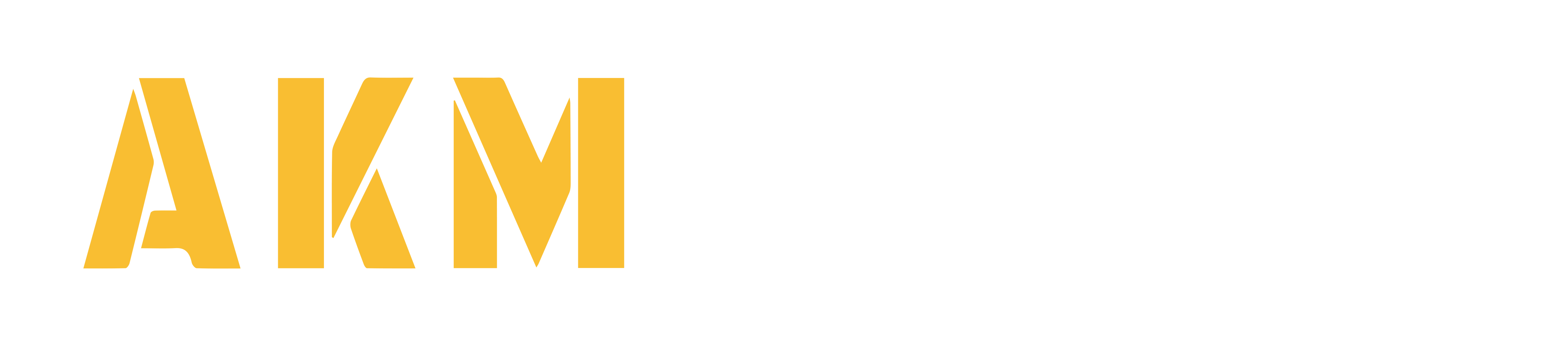 AKM EGYPT